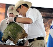 Hondūre atliekami archeologiniai tyrinėjimai legendomis apipintame Baltajame mieste