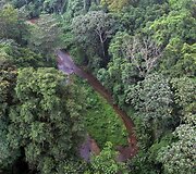 Hondūre atliekami archeologiniai tyrinėjimai legendomis apipintame Baltajame mieste