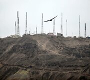 Dresuoti grifai su kameromis ir GPS įranga fiksuos nelegalius sąvartynus Peru