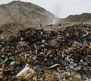 Dresuoti grifai su kameromis ir GPS įranga fiksuos nelegalius sąvartynus Peru
