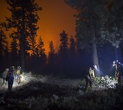 2015-ieji &ndash; kar&scaron;čiausi metai per visą temperatūros stebėjimo laikotarpį