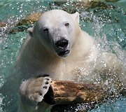 2015-ieji &ndash; kar&scaron;čiausi metai per visą temperatūros stebėjimo laikotarpį