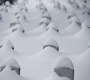 Apsnigtos kapinės Va&scaron;ingtone