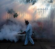 Sveikatos apsaugos darbuotojas pur&scaron;kia aplinką nuo ligas perne&scaron;ančių uodų Brazilijoje