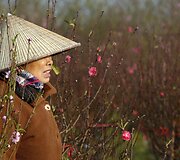 Vietnamiečiai lankosi persikų laukuose