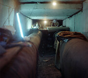 Bukare&scaron;to benamių bendruomenės gyvenimas