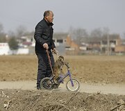 Beždžionės dresuojamos gatvės pasirodymams Kinijoje