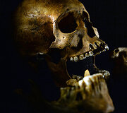 Vikingų archeologinių artefaktų parodos eksponatai