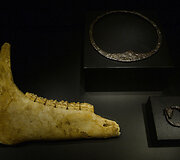 Vikingų archeologinių artefaktų parodos eksponatai