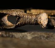 Vikingų archeologinių artefaktų parodos eksponatai
