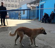 Egipte dingęs italas doktorantas rastas nužudytas ir sudegintas