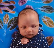 Australijos aborigenų vaikų ir besilaukiančiųjų fotosesija