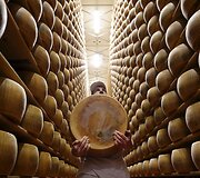 Darbuotojas Italijoje ne&scaron;a &scaron;viežią sūrį i&scaron; saugyklos