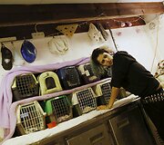 Nora savo namuose Tel Avive slaugo apie 70 sužeistų &scaron;ik&scaron;nosparnių