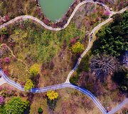 Ry&scaron;kiaspalvių pavasario žiedų i&scaron;margintas parkas Kinijoje i&scaron; oro