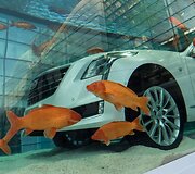 Naujasis &bdquo;Cadillac CT6&ldquo; Kinijoje pristatomas žuvų pilname akvariume