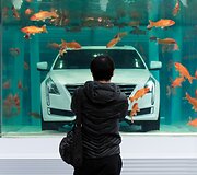 Naujasis &bdquo;Cadillac CT6&ldquo; Kinijoje pristatomas žuvų pilname akvariume