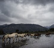 Patagonija &ndash; regionas Pietų Amerikos pietuose, Argentinos ir Čilės teritorijose