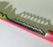 Įspūdingi Chieno Chu Lee drožiniai i&scaron; pie&scaron;tuko grafito