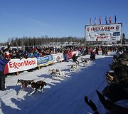 1000 mylių (1600 km) &scaron;unų kinkinių lenktynės Aliaskoje