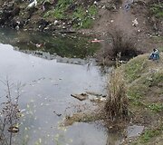 Migrantas Graikijoje