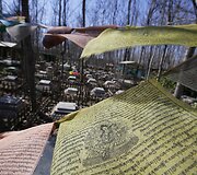 Kinijos gyvūnėlių kapinės