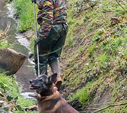 Pareigūnai Belgijoje apie&scaron;ko mi&scaron;ką netoli Prancūzijos sienos