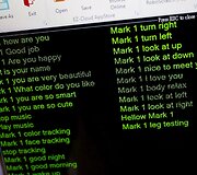 Honkonge Ricky Ma pasigamino Holivudo aktorės i&scaron;vaizdos robotą humanoidą