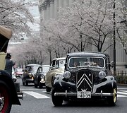 Japonijos klasikinių automobilių festivalis Tokijuje