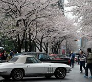 Japonijos klasikinių automobilių festivalis Tokijuje