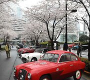 Japonijos klasikinių automobilių festivalis Tokijuje