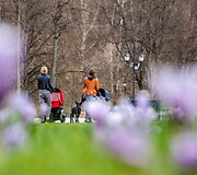 Bernardinų sode vėl sukasi karuselė ir skleidžias pavasario žiedai