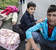 Migrantai Danijoje