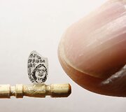 Ant ryžio grūdo i&scaron;pie&scaron;tas i&scaron;rinktosios Taivano prezidentės portretas