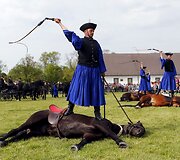 Renginys Vengrijoje žymintis ganymo sezono pradžią 