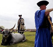 Renginys Vengrijoje žymintis ganymo sezono pradžią 