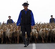 Renginys Vengrijoje žymintis ganymo sezono pradžią 