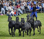 Renginys Vengrijoje žymintis ganymo sezono pradžią 