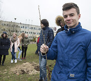 Vilniaus Aleksandro Pu&scaron;kino mokyklos moksleiviai sodino ąžuoliukus