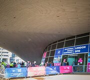 Europos plaukimo čempionatas