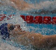 Europos plaukimo čempionatas