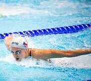 Europos plaukimo čempionatas