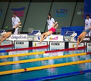 Europos plaukimo čempionatas
