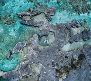 Jaunavedžių pora vestuvių fotografiją patikėjo bepilotei skraidyklei