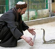 Prie savo namų egiptietis įkūrė zoologijos sodą