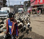 Nugriovimui paskirti namai Nairobyje