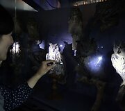 Muziejų naktis visoje Europoje &ndash; itin laukiamas renginys