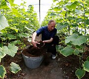 Velerijus kasdien groja savo auginamiems agurkams &scaron;iltnamyje, kad jie augtų didesni ir skanesni