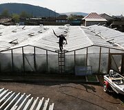 Velerijus kasdien groja savo auginamiems agurkams &scaron;iltnamyje, kad jie augtų didesni ir skanesni