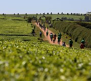 Didžiajame Lūžių slėnyje Kenijoje olimpiniam auksui treniruojasi Kenijos ir užsienio atletai